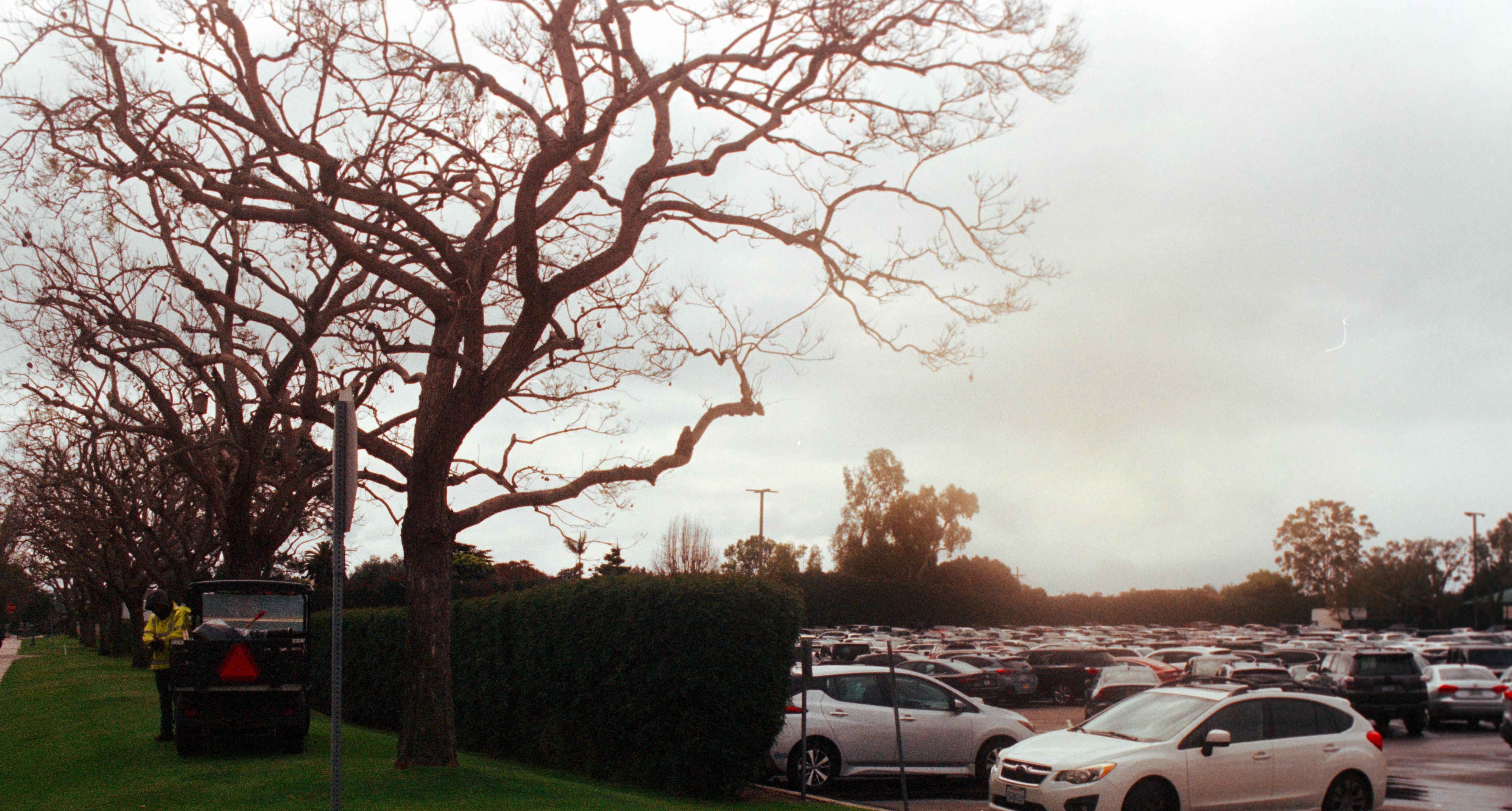 Still 12