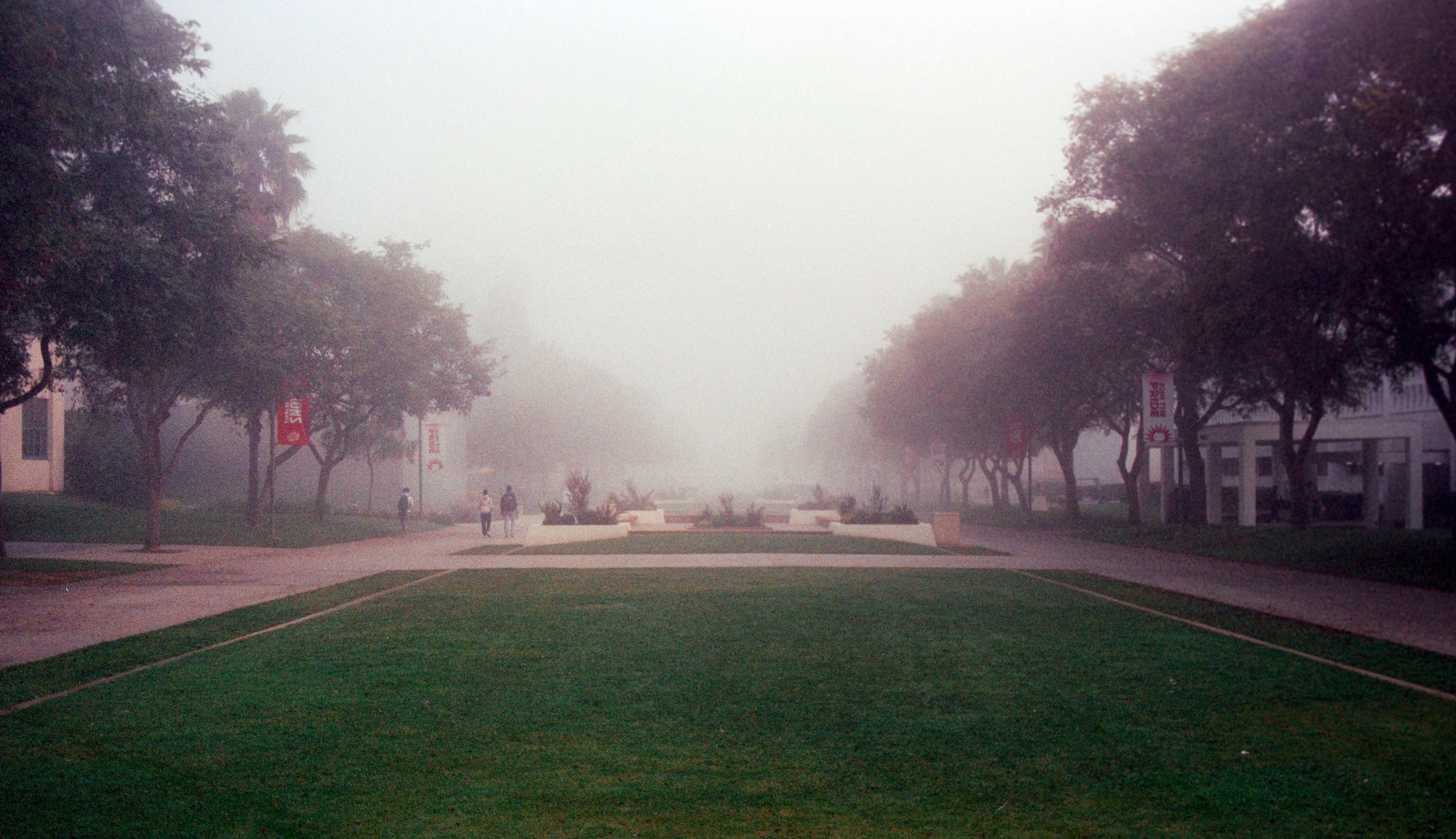Still 3